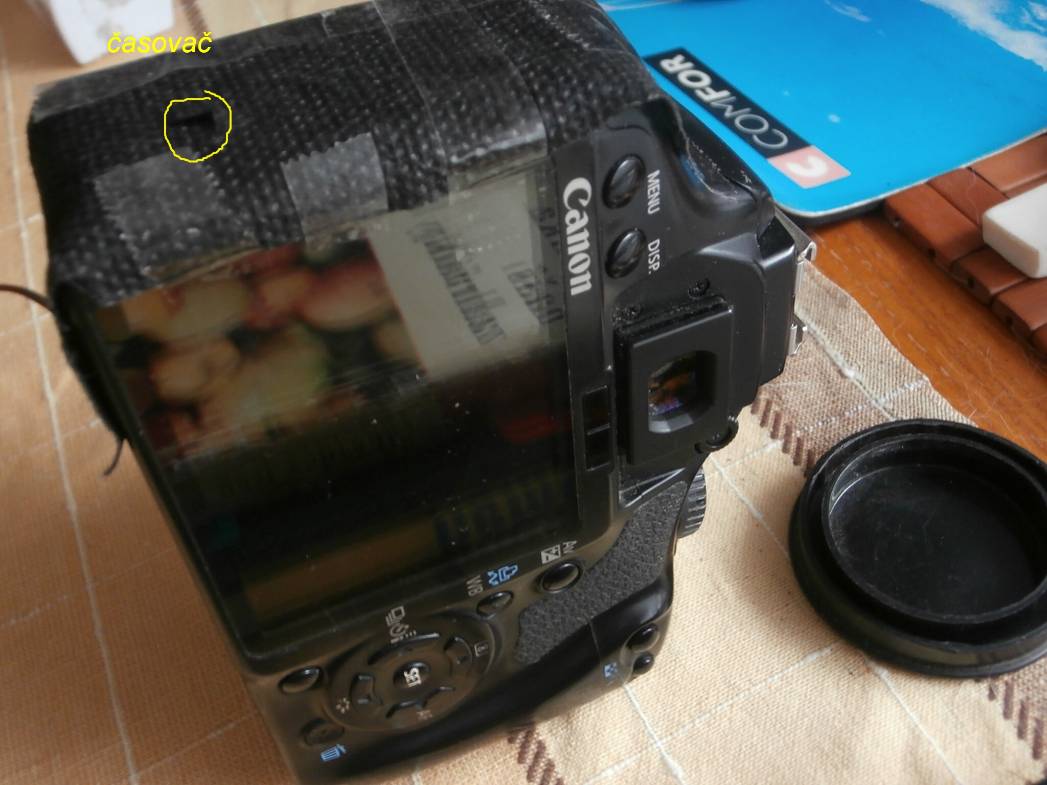 P9010010a (1)