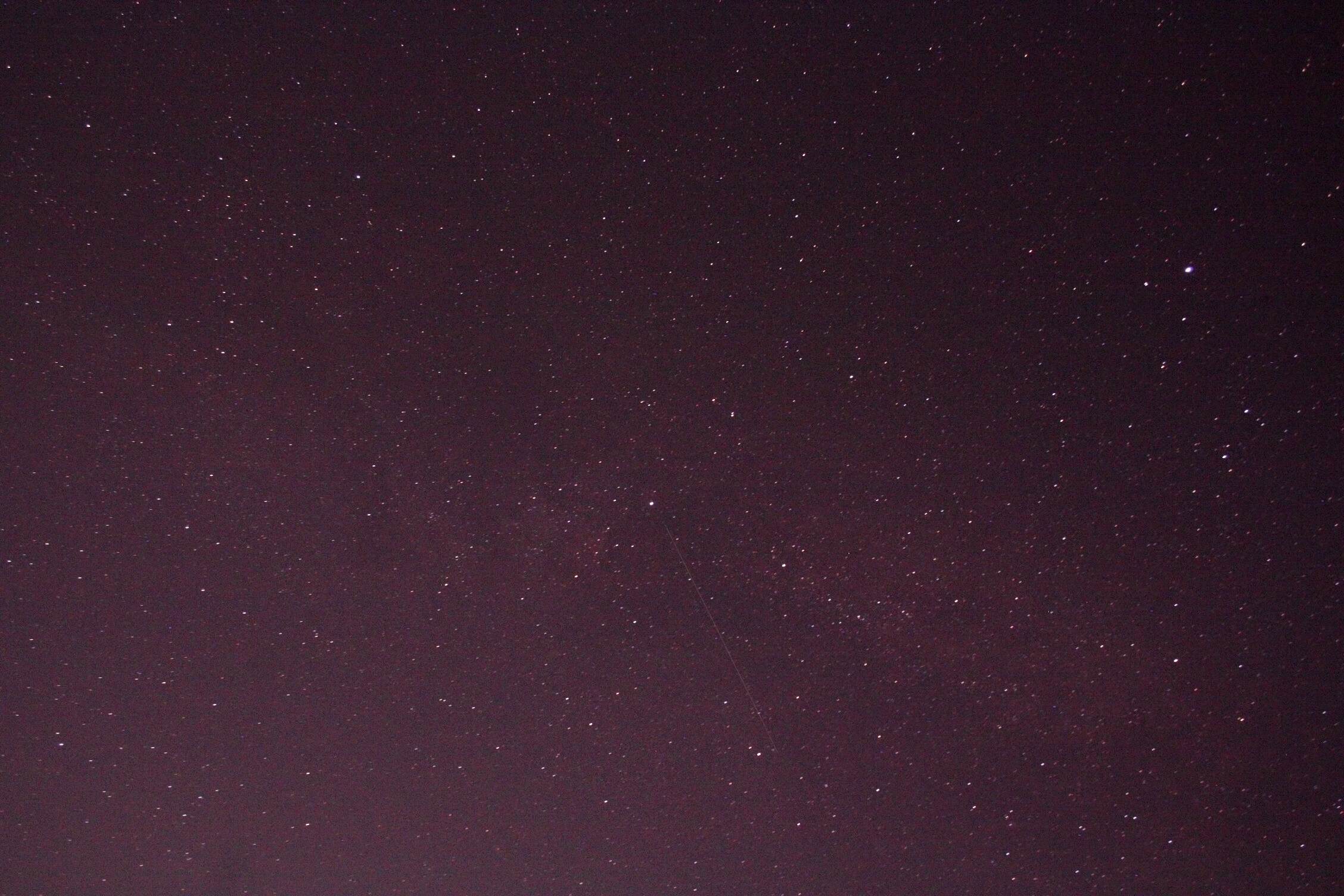 Perseida u Cyg. 11.8.25.