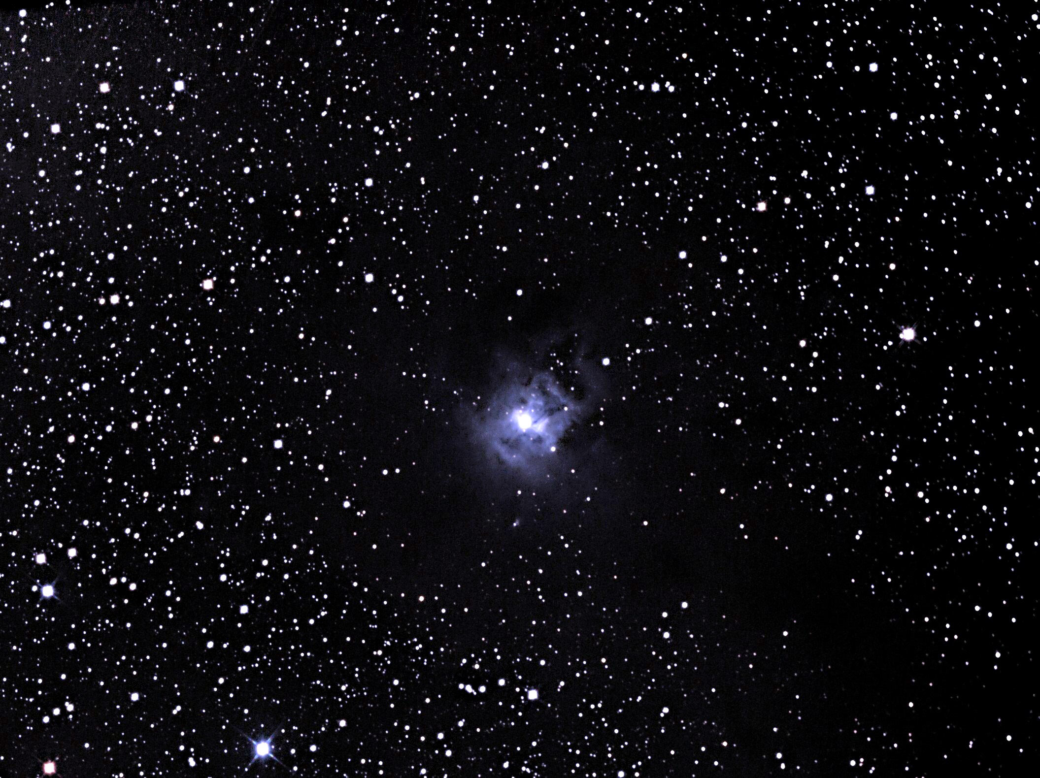NGC7023 IRIS,mladá reflex.mlhov. vzdál.1475 ly, mag.7,1 v Cep ,  dne 11.8.2013