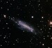 Galaxie NGC4236 22.6.21.