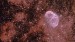 NGC 6888 + Soap bubble 2021